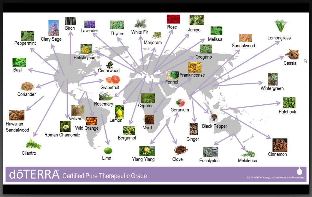 doterra-sourcing